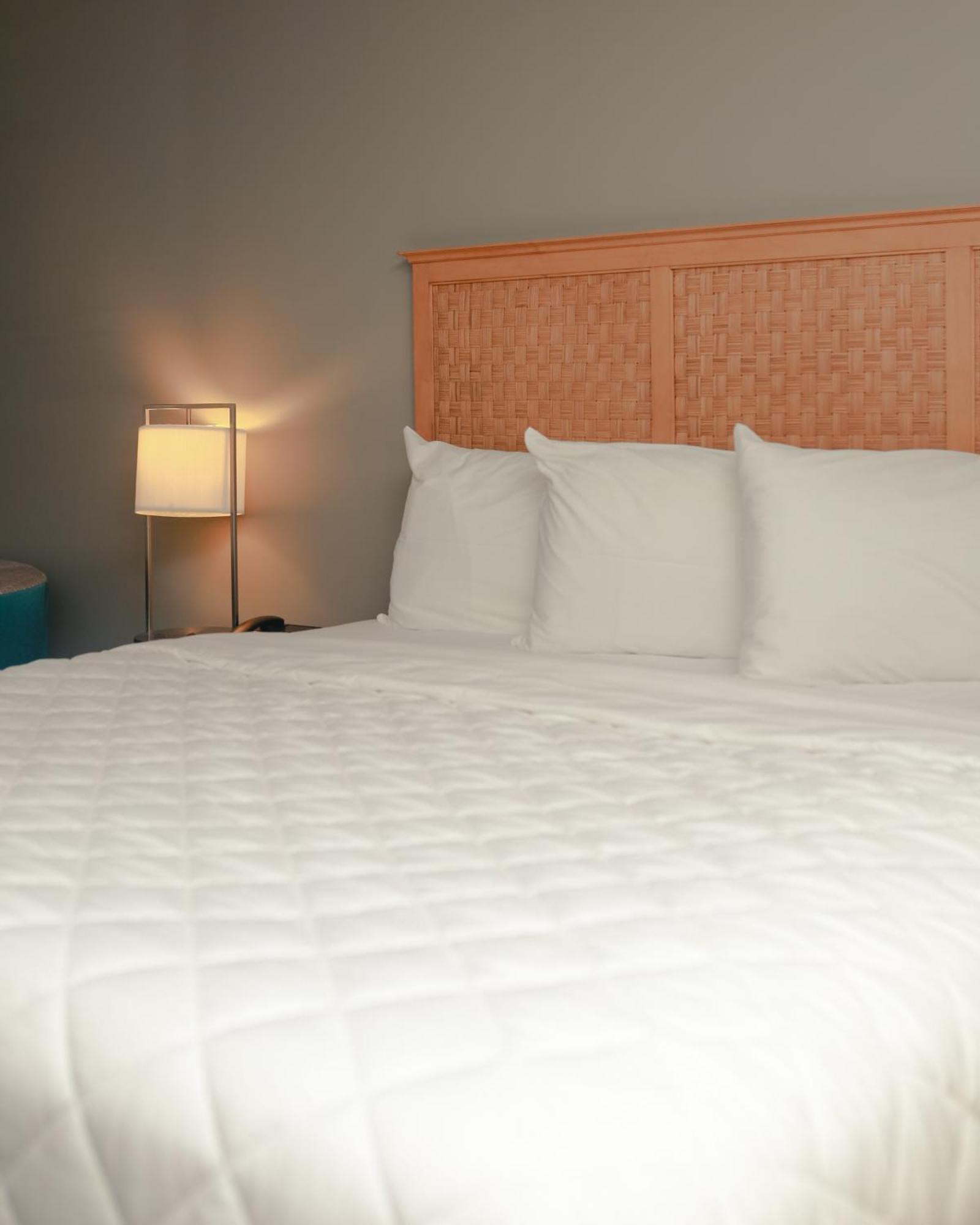 Southern Breeze Ocean Front Hotel Myrtle Beach Buitenkant foto